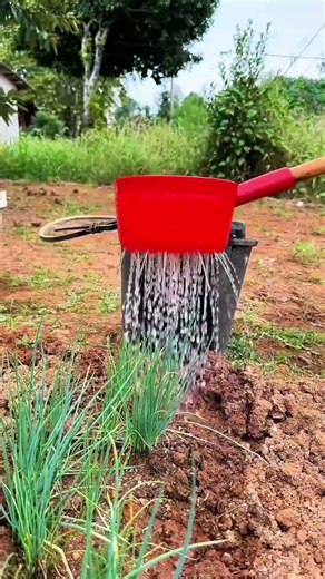 Discover the Serenity of Rural Life: My Simple Country Living Journey