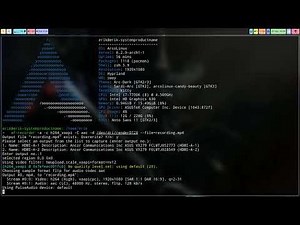 ArcoLinux : 3434 What is the best setting for wf-recorder on Hyprland? April 2023
