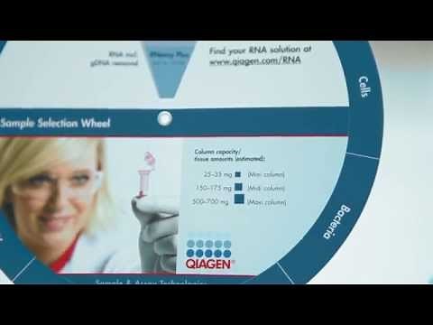 RNA isolation troubleshooting (Part 3: OD reads)