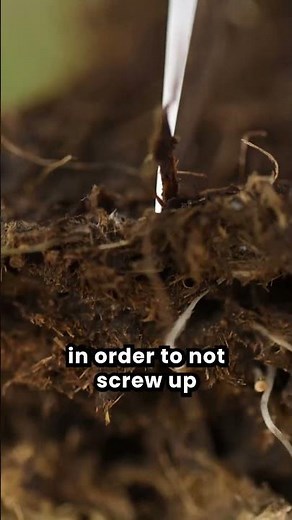 Tillage vs No-Till: Can Soil Health Work With Conventional Tillage?