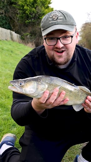 James Cook on Instagram: "Catching an animal that SHOULD NOT be in the UK 🇬🇧 After 5 attempts and over 30 hours, me and the old man finally landed a Zander! A non-native predator that can be found right here in UK waters 🇬🇧 First introduced in 1878 at Woburn Abbey, Zander have gone on to become a serious non-native, invasive predator of UK waters. They’re masterful hunters and specialise in dark, murky water which makes canals a hot spot to find them 🎣 What a beautiful animal! #wildlife #wi