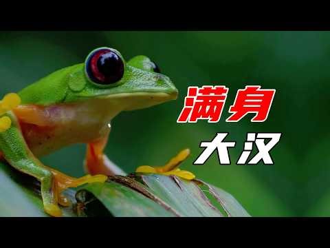 The Amazing Journey of Frog Reproduction: A Wild Adventure