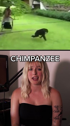 How to Survive on TikTok