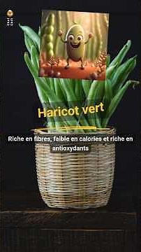 Bienfaits des haricots verts | Bienfaits des haricots verts pour la santé