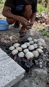 Grilling a Clams | Ran Olivares