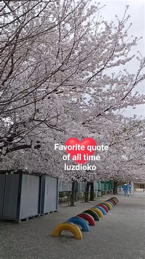 Spring has sprung at my beautiful place Saitama Prefecture Japan. | Favorite Quotes of all time