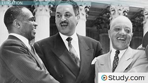 Interest-Group Litigation Strategies: Ways to Influence Policy