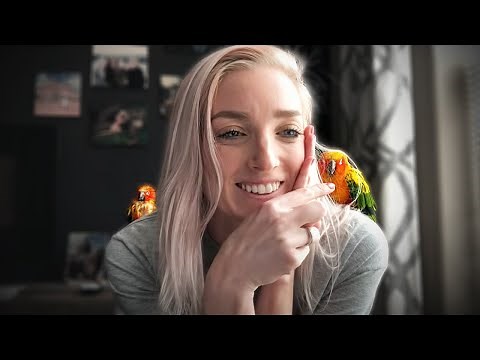 THE QUIETEST SUN CONURES (Seriously!)