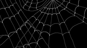 Animation Appearance White Web On Black Stock Footage Video (100% Royalty-free) 3421474481 | Shutterstock