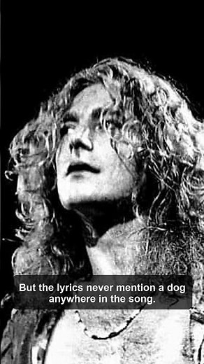 The Real Story Behind Led Zeppelin’s Black Dog