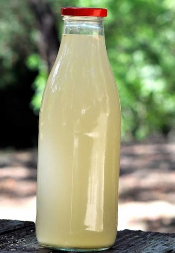 Which Ginger Ale Has Real Ginger? - Grow Veggy