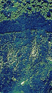 📸 This TEM image captures the assembly of 10 nm cobalt oxide nanocrystals. The expansive field of view unveils an intricate landscape reminiscent of beautiful undersea terrain. The contrasting assemblies of nanoparticles in the upper and lower regions are shaped by the liquid flow of micro-droplets during evaporation, guiding their arrangements on the carbon substrate. This natural phenomenon, born from the delicate balance of micro-liquid flow, embodies the harmonious interaction of local forc