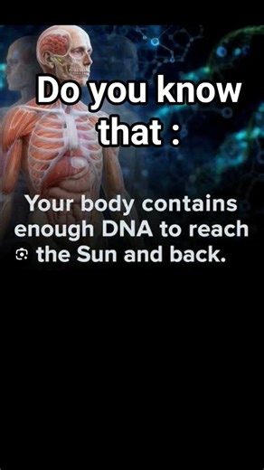 fact about Human DNA