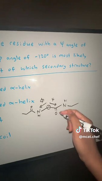 Mastering Ramachandran Plots for MCAT Success