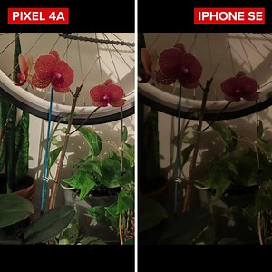 33K views · 22 reactions | You don't have to have a flagship phone to have a great camera anymore, but which is better: The iPhone SE or the Pixel 4A? Let's find out. | CNET | Facebook