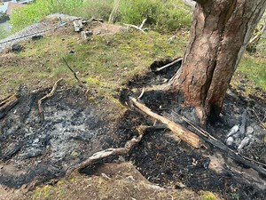 7 signs your child could be a 'fire starter', according to Shropshire Fire and Rescue Service