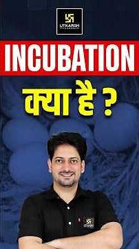 Incubation Process For Chicken Eggs #incubation #chickeneggs #horticulturetopmcqs