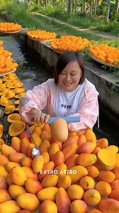 Chinese mangoes 🥭 #science #facts #mango #sciencefacts #reelitfeelit | Extro Astro