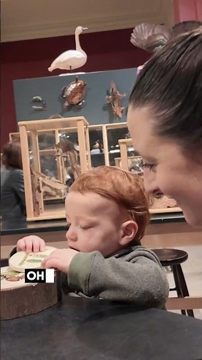 🦖 Face-to-Face with REAL Dinosaurs in Pittsburgh! | Carnegie Museum of Natural History