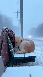 Watermelon Sugar on Reels