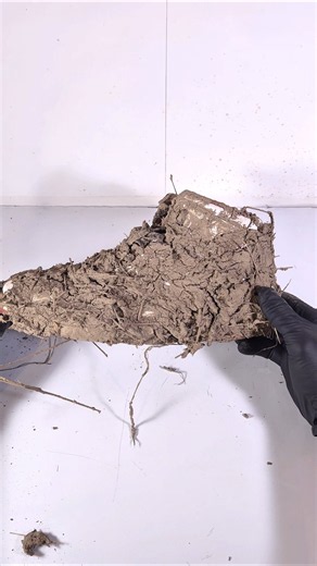 Asmr cleaning on the DIRTIEST jordans ever #shorts #satisfying #asmr