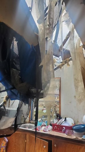 Ashley Conrad on TikTok