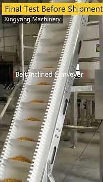 Belt inclined conveyor/Conveying equipment/Module belt conveyor-Made-in-China