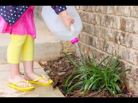 DIY: Make a Watering Can from an old Milk Jug (...perfect for kids!)