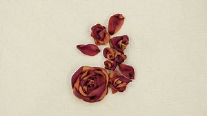 223K views · 77 reactions | Ribbon embroidery can be used as a beautiful embellishment to any of your projects. Learn how to create different types of roses. | Professor Pincushion | Facebook