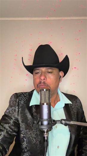 Soy nuevo en TikTok Maldita Sea Visente Fernandez karaoke #parati | karaoke