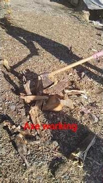 Axe Technique: Reducing a Thick Wooden Log Step by Step#woodcutting#villagelife#axework