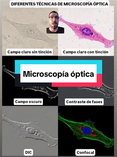 Hoy os enseño 6 tipos de microscopía óptica 🔬. #biologia
