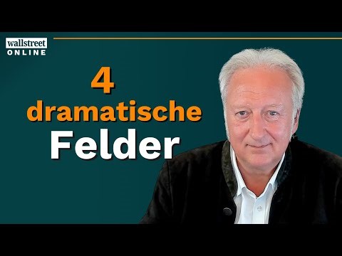 Hellmeyer warns: No one is waiting for Germany