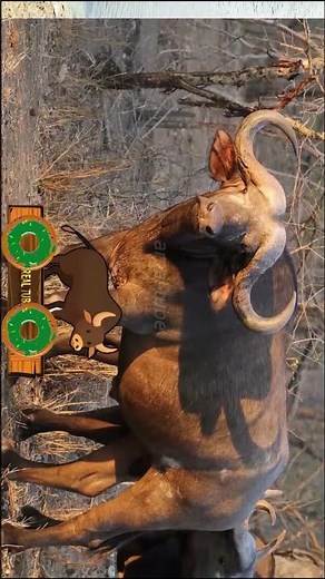 farm animal sounds for toddlers buffalo sounds arealtube #animalsounds #children'seducation #anim...