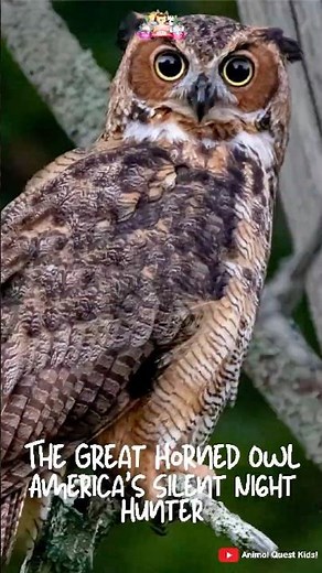 The Great Horned Owl – America’s Silent Night Hunter #funfacts #wildlife