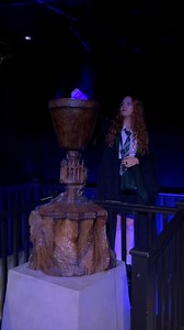 134K views · 2.8K reactions | We’ve been loving all your Triwizard Tournament posts – good work, champions! ✨ | Warner Bros. Studio Tour London | Facebook