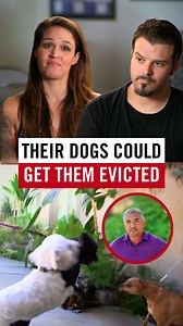 142K views · 3.4K reactions | Buttons and Princess are small dogs...