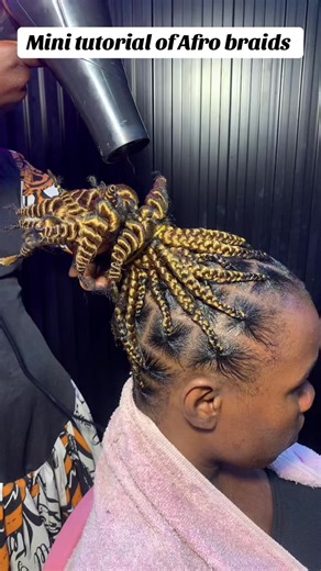 Learn Afro Braiding Techniques: Mini Tutorial