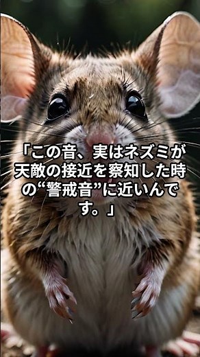【音でネズミ撃退】一発で効く“ある周波数”の秘密｜薬も罠も不要｜30秒Short版 #撃退音 #害獣対策 #ネズミ撃退