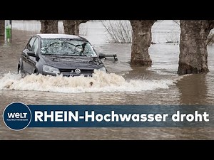HOCHWASSER IN DEUTSCHLAND: Weiter Tauwetter - Rhein-Wasserstände steigen weiter an | WELT Thema
