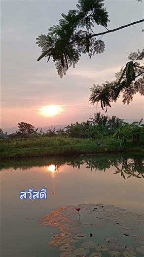 Relaxing morning. Sending encouragement. #foryou #happiness #shorts #love #like