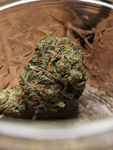 Cherry Bomb | Marijuana Strain Reviews