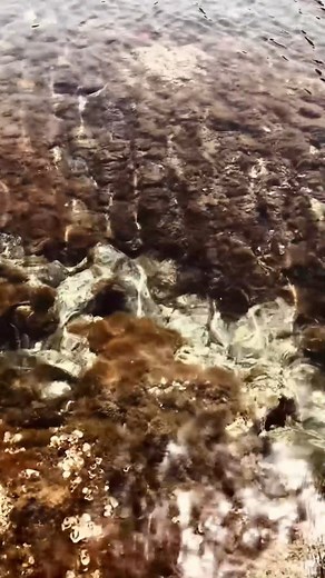 Cadaqués, Portlligat and Cap de Creus in general were a source of inspiration for Dalí...🩵 Fotografies: Detall de l'obra "Carne de gallina inagural." Salavador Dalí, 1928. Detall de l'obra "La persistencia de la memoria." Salavador Dalí 1931 Salvador Dalí treballant en el Somni de Venus, 1939 Eric Schaal © Fundació Gala-Salvador Dalí, Figueres, 2024 Drets d’imatge de Salvador Dalí reservats. FGSD, Figueres, 2024 Salvador Dalí a Portlligat, 1949 Ricardo Sans Condeminas ©Fundació Gala-Salvador Da