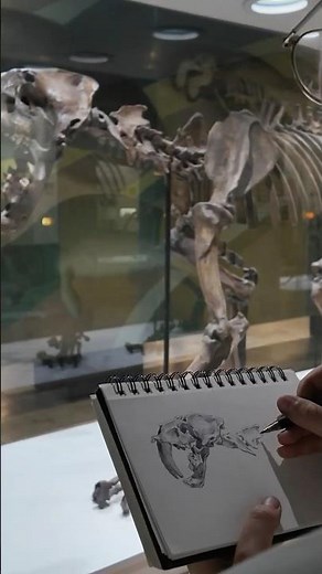 Welcome to the #UrbanSketching class at the Academy of Fine Art Germany