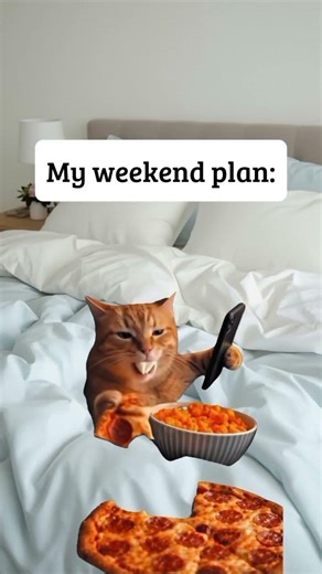 These Cats Love Rest and Good Food🐾😻🍕