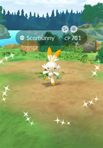 Do you slide on all your nights like this ✨ Shiny recap — a lot stacked up. Highlight: Shiny Scorbunny from yesterday’s Community Day. #PokemonGO #ShinyPokemon #Scorbunny #CommunityDay #PokemonGOCommunity