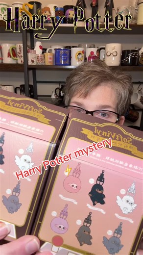 Exploring the Harry Potter Collector's Journey
