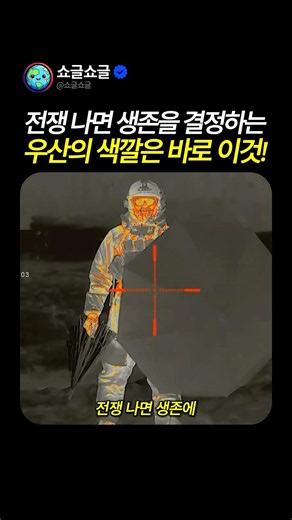 전쟁 나면 생존을 결정하는 우산의 색깔