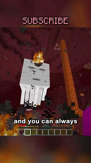 NEVER BUILD YOUR NETHER PORTAL IN YOUR HOUSE!!!!!!! OR ELSE I WILL FREAK OUT!!!!!!!!!!! ANGER!!!!!!!