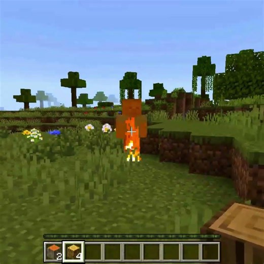 🌅Zombie Burns After Sunrise #minecraft #shorts